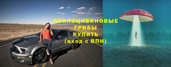 прущие крисы Алексеевка