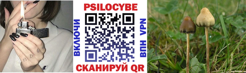 Галлюциногенные грибы Cubensis  мега   Ухта 